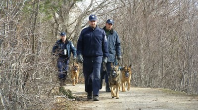 Vodiči službenih pasa Granične policije BiH u patroliranju državnom granicom.