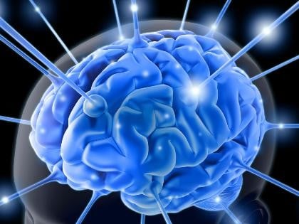 mozak, stres, vid, meditacija, mozak, bolesti, mozak, pamet, pamćenje, mozak, očuvanje pamćenja, inteligencija, mozak, istraživanje, znanstvenici, pamet, inteligencija, godine, mozak, pamćenje, aktivnost, istraživanje, slika, psihoanaliza