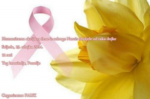 Žene za akciju žene za akciju