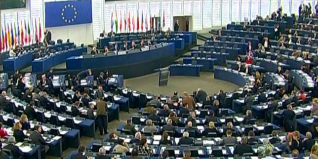 Europski parlament u Briselu, Europski put BiH, rezolucija eu