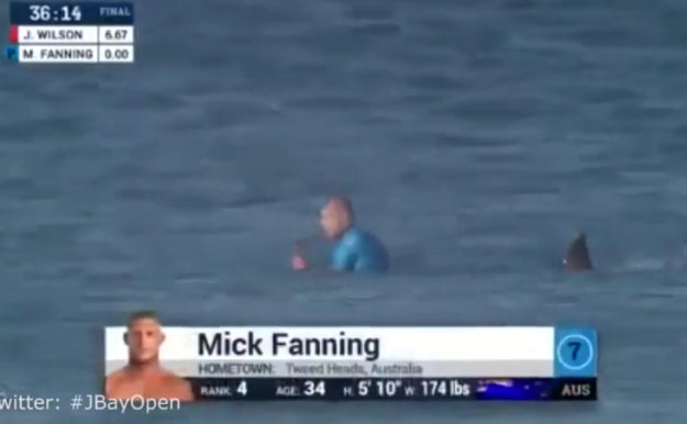 Mick Fanning, morski pas, napad morskog pasa, surfer
