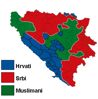 Federacija BIH, ustav