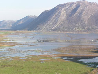 Svitava kod Čapljine