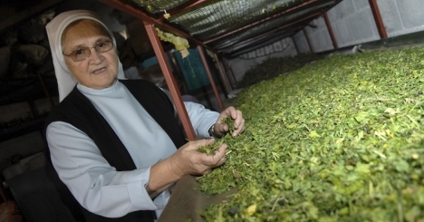Ljubica Kovač, ljekovito bilje, trave, Posušje, časna sestra, Posušje, lijek, časna sestra, Ljubica Bernardica Kovač, fra Mario Knezović, časna sestra, Ljubica Kovač, časna sestra, Ljubica Bernardica Kovač, Posušje, časna sestra, Ljubica Kovač, lijek, Posušje, časna sestra