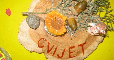 Humanitarna udruga ''Cvijet'' Čapljina