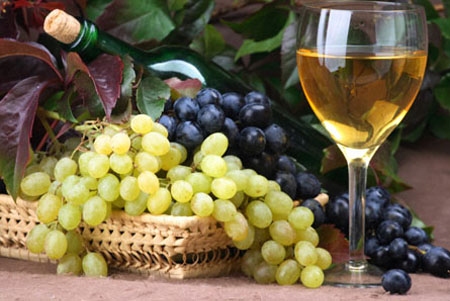 vinska cesta, vino i voda, mineralna voda i vino, gemišt, bijelo vino , rizik od melanoma, konzumiranje alkohola , loše vino, kako iskoristiti, ne prosipajte, vino, Berba grožđa, žilavka, blatina