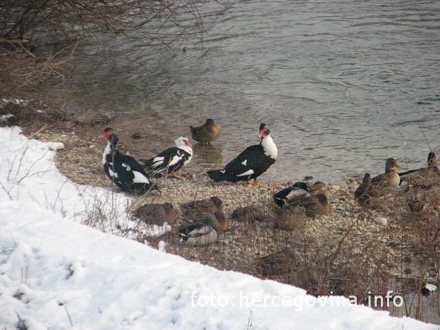 vremenska prognoza, vremenska prognoza, vremenska prognoza, vremenska prognoza, vremenska prognoza, vremenska prognoza, vremenska prognoza, vremenska prognoza, vremenska prognoza, vremenska, vremenska prognoza