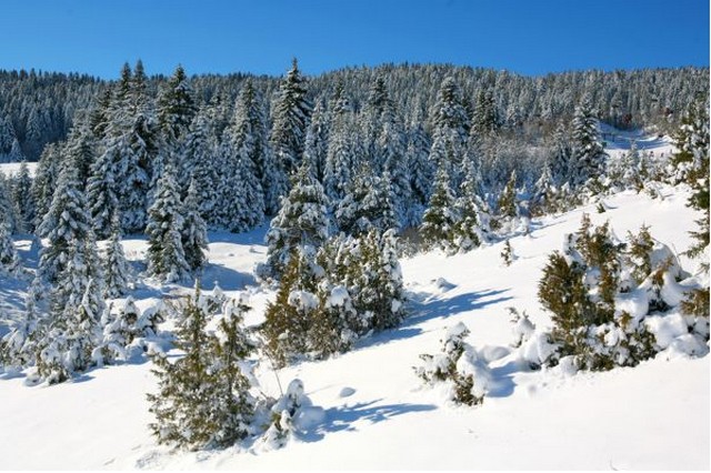 Katarina Zovko Ištuk