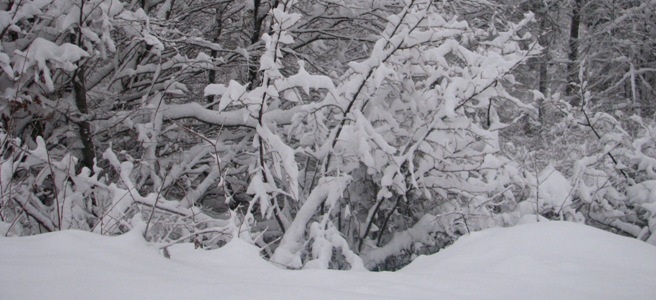 zima, snijeg, nevrijeme, snijeg, vremenska prognoza, vremenske neprilike, zima, smrzavanje, BIH, snijeg, BIH, zima, snijeg, zima, polarna zima, snijeg, oluja, vremenska prognoza, BIH, vremenska prognoza, snijeg, snijeg, gss, upozorenje, crveno upozorenje, hladnoća, Rekordna hladnoća, narančasti meteoalarm, BIH, meteo alarm, Hercegovina