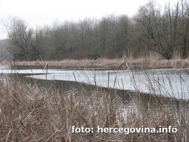 Slavonija, otok, tragedija, bošnjački virovi, županja