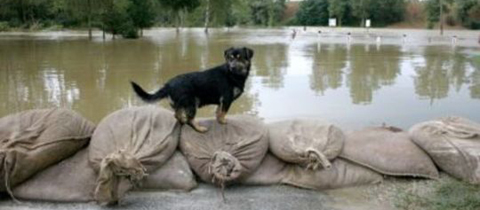 Nasip - zaštita od poplave