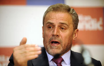 Milana Bandić, Milan Bandić, Politika, Milan Bandić, Hrvati u BIH, BIH, Milan Bandić