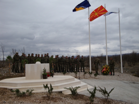 trajkovski, Ljubo Bešlić, Boris Trajkovski, pad aviona, istraga