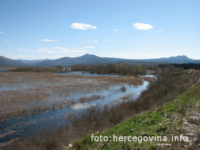 vremenska prognoza, sunce, razvedravanje, vrijeme, sunce, vremenska prognoza