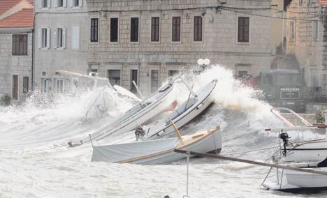 tsunami, tsunami, novi zeland