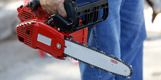 drvosječa, njemacki zakoni , zakoni