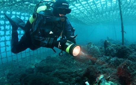 cavtat, Hrvatska, blago, poslovniportal.ba