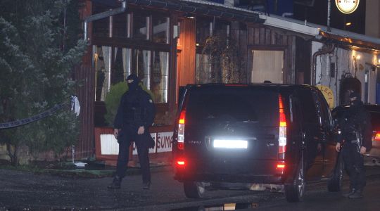 organizacija, bande, Dalmacija