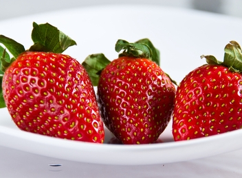 berba, jagode, Njemačka, jagode, seks, hrana, seks, rekviziti, hladnjak, afrodizijak, namirnice, seks, namirnice, voće, seks, jagode, trik, vijek trajanja, jagode, lijek, zdravlje, peteljke, jagode, listovi jagode, zdravlje, jagode, upozorenje, jagode, Divlje Jagode, listovi jagode, sektor mljekarstva ,  jagodičasto voće, gospodarstvo, jagode, jagodasto voće, krošnjasto voće, namirnice, neograničene količine , jagode, trešnje, jagode, jagode