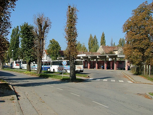 Rakitno, autobus