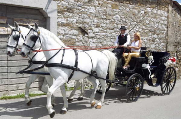 svadba, fotke, vjenčanje, udaja, bosanke