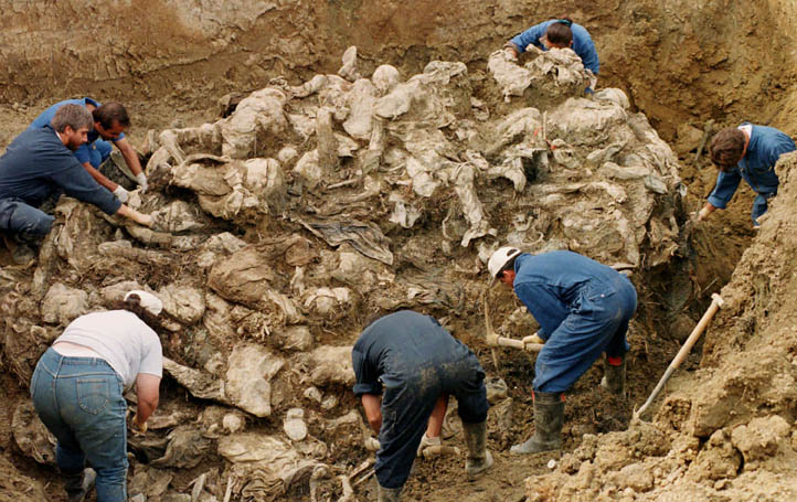 Srebrenica, Zločin u Srebrenici, posavski obzor