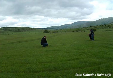 Tomislavgrad, ptice, ptičice, Tomislavgrad, turizam, duvno