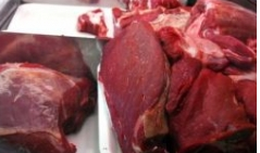 meso, uvoz, meso, droga, meso, šverc, BIH, zaraza, mlijeko, meso, meso, uvoz, granica, meso, konji, BIH, bakterija, Bakterija Listerie m, suhomesnati proizvodi