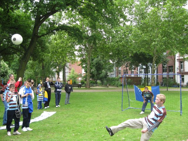 reprezentacija BIH, Zvjezdan Misimović