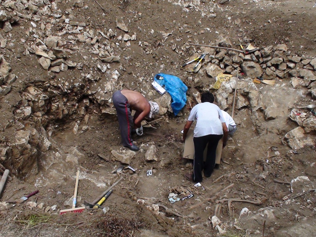 franjevci, pobijeni, franjevci, fratri, pobijeni, Vrgorac, eskhumacija, pobijeni, pobijeni fratri, Ljubuški, Zločin, franjevci, stradanje, film, Hercegovina