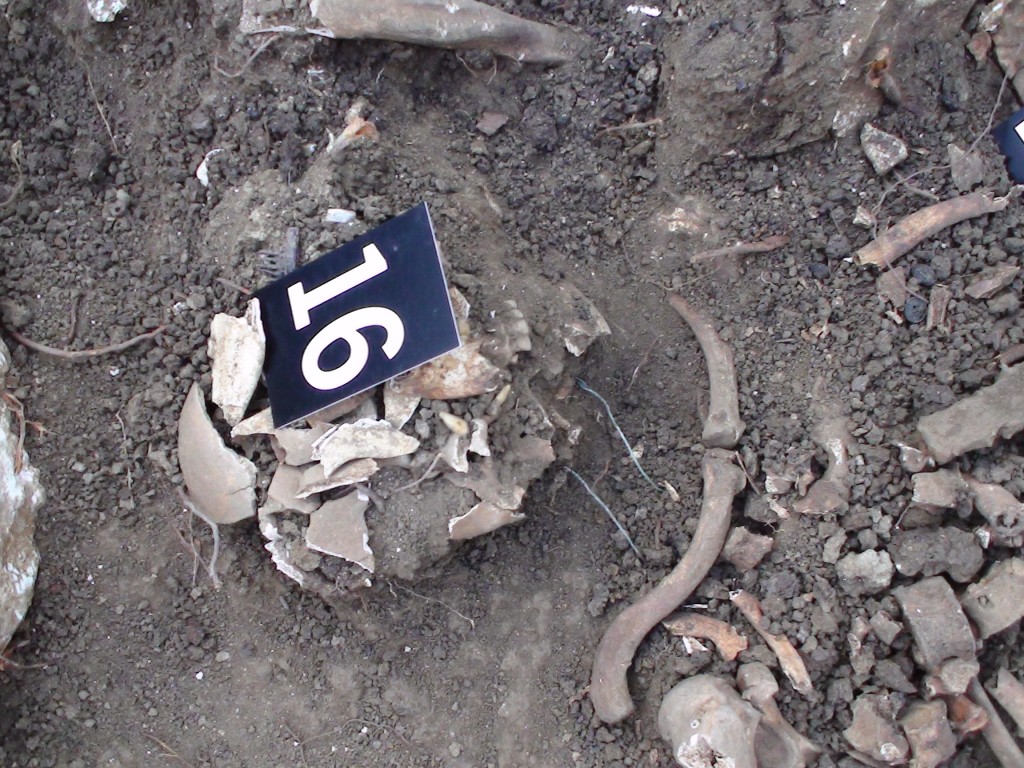 franjevci, otvoreno pismo, masovna grobnica, franjevci, pobijeni