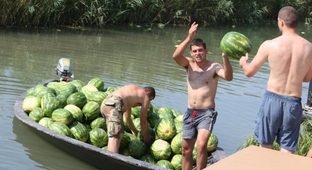 lubenica, lubenice, lubenica, lijek, voće