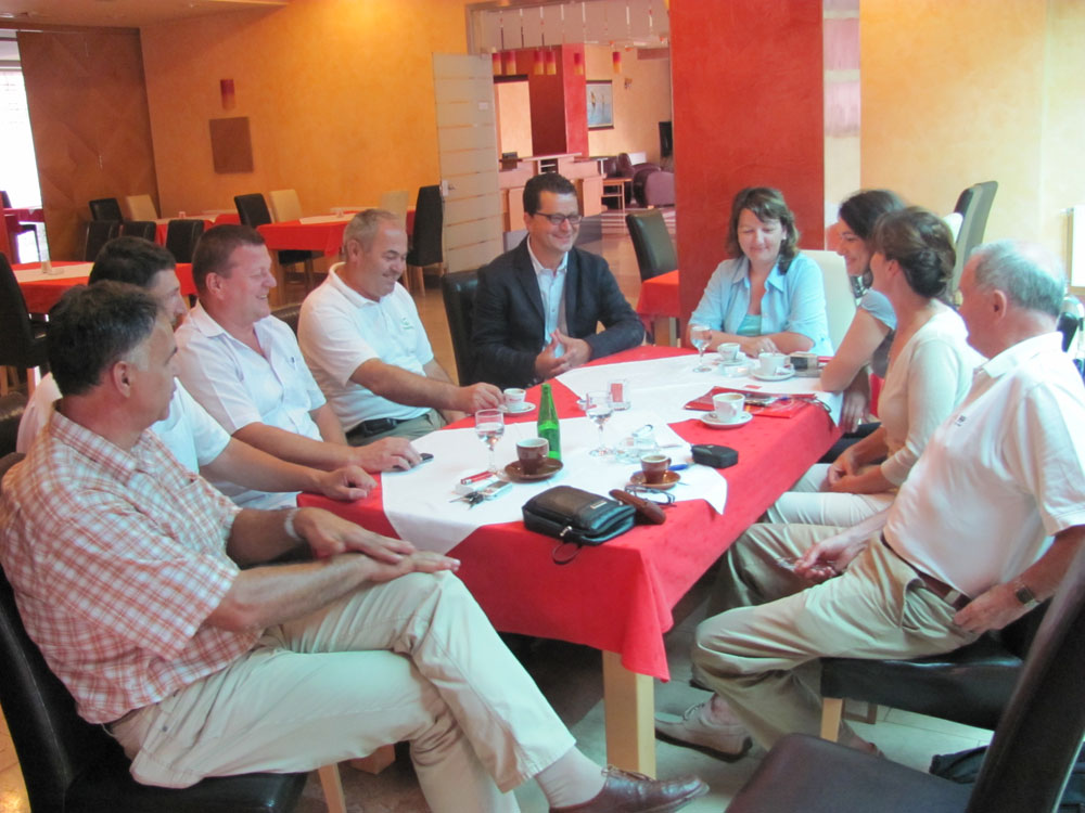 Martin Raguž, HDZ 1990, izbori 2010