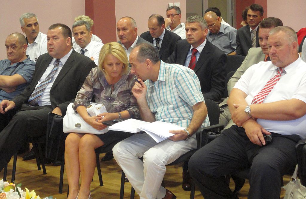 Dragan Čović, HDZ BiH, izbori 2010