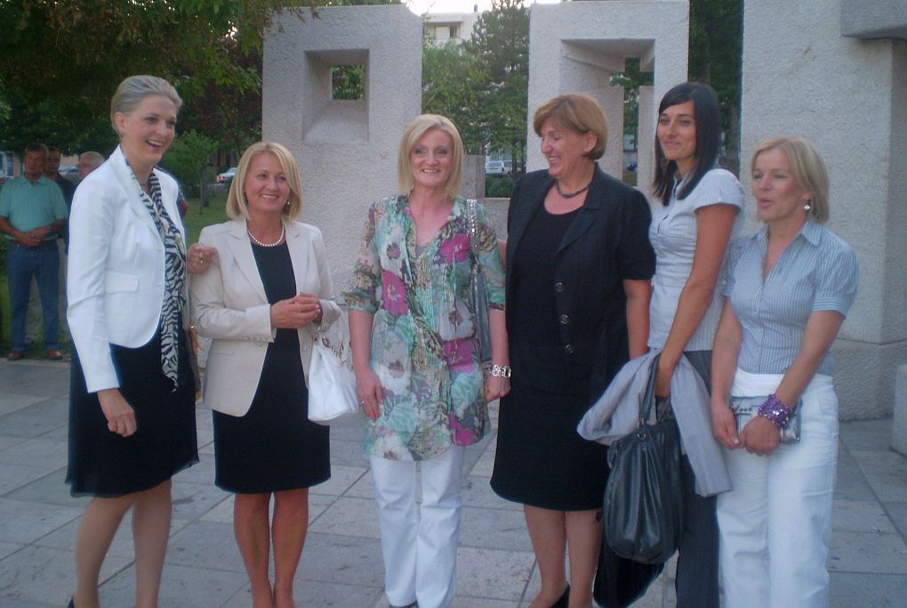 HDZ BiH, Dragan Čović, Borjana Krišto, izbori 2010