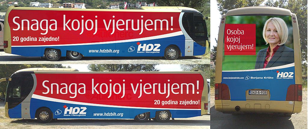 HDZ BiH, izbori 2010