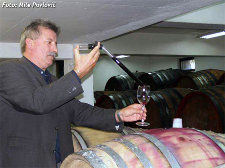 andrinje, vino, paoča