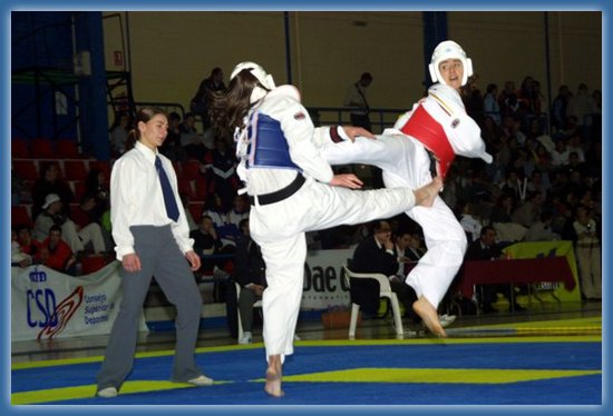 taekwondo, Cro Star