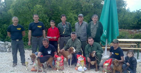 divlje svinje, psi, lov