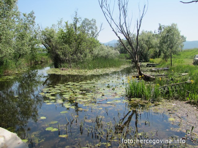 vremenska prognoza, vremenska prognoza, vremenska prognoza, vremenska prognoza, Hutovo blato, vremenska prognoza, vremenska prognoza, vremenska prognoza