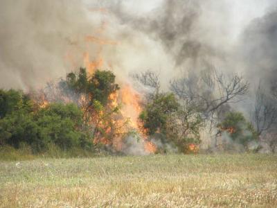 vatrogasci, Čapljina, požar, Posušje, požar, Čitluk, smilje