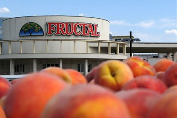 nectar, Fructal, poslovni portal ba