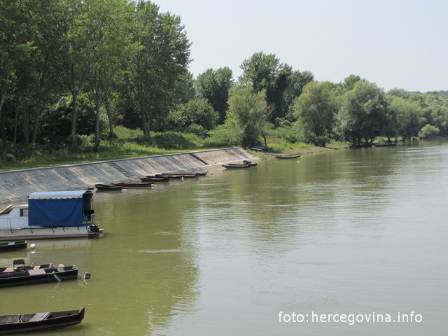ilok, Slavonija, Slavonija, HSP AS H, hsp ante starčević