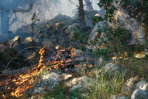 požar, Čapljina, požar, požar, Tomislavgrad, Blidinje, požar, požar, požar, požar, vatrogasci, civilna zaštita, požar, gašenje požara , Hutovo blato, Hutovo