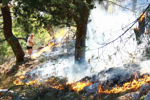 požar, Čapljina, požar, vatra, Čapljina, požar, dretelj, Gradina, Ravno, požar