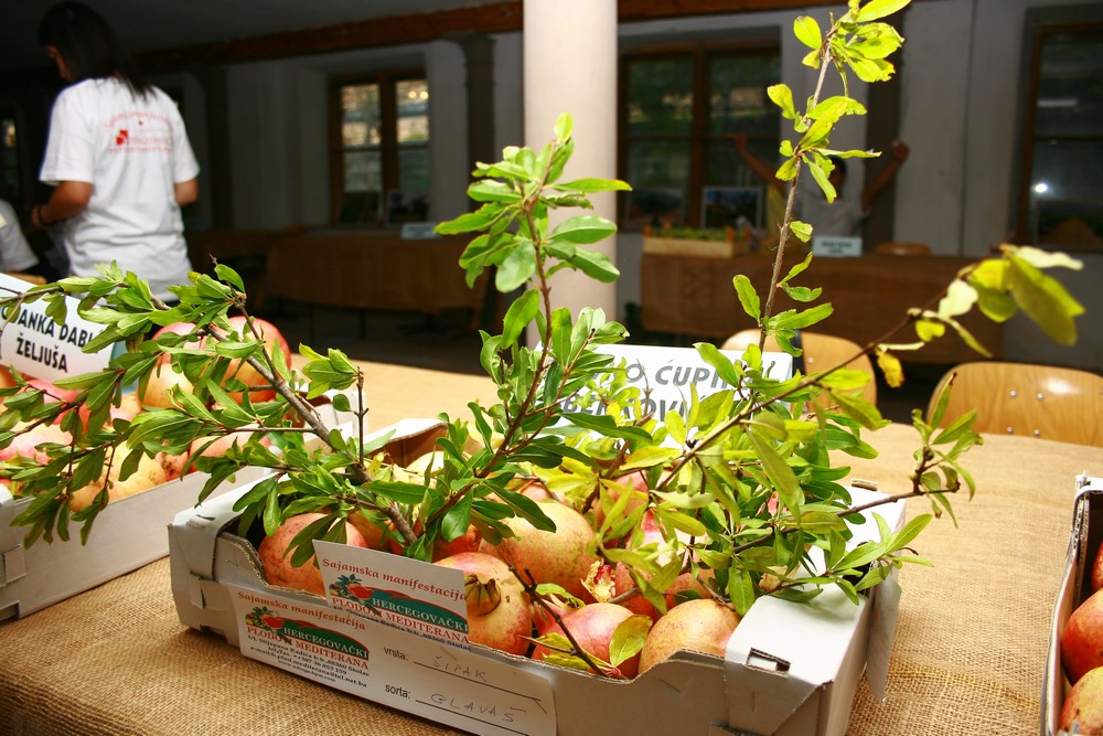 U Stocu svečano otvorena sajamska manifestacija "Hercegovački plodovi Mediterana'