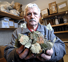 rade marušić, travar, rade marušić, travar, rade marušić, travar, rade travar, rade marušić, travar, rade travar