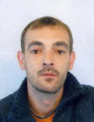 tjeralica, potjernica