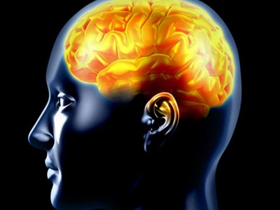 hrana za jelo, zdravlje, mozak, mozak, dotok krvi u mozak, inteligencija, pamet, čovjek, uspjeh u životu, inteligencija, koeficijent inteligencije, ljudi, krvna grupa, pamćenje, pamćenje, mozak, mozak, koeficijent inteligencije, inteligencija, planiranje, zdravlje, encefalitisa, meningoencefalitis, upala mozga