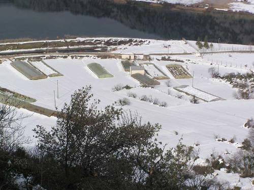 Elementarna nepogoda, snijeg, snijeg, Mostar